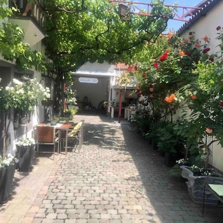 Ferienwohnung Im 'Schmoller - Hof' Neustadt an der Weinstraße Esterno foto