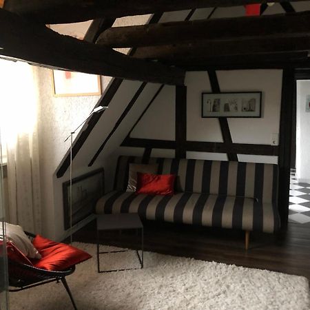Ferienwohnung Im 'Schmoller - Hof' Neustadt an der Weinstraße Esterno foto