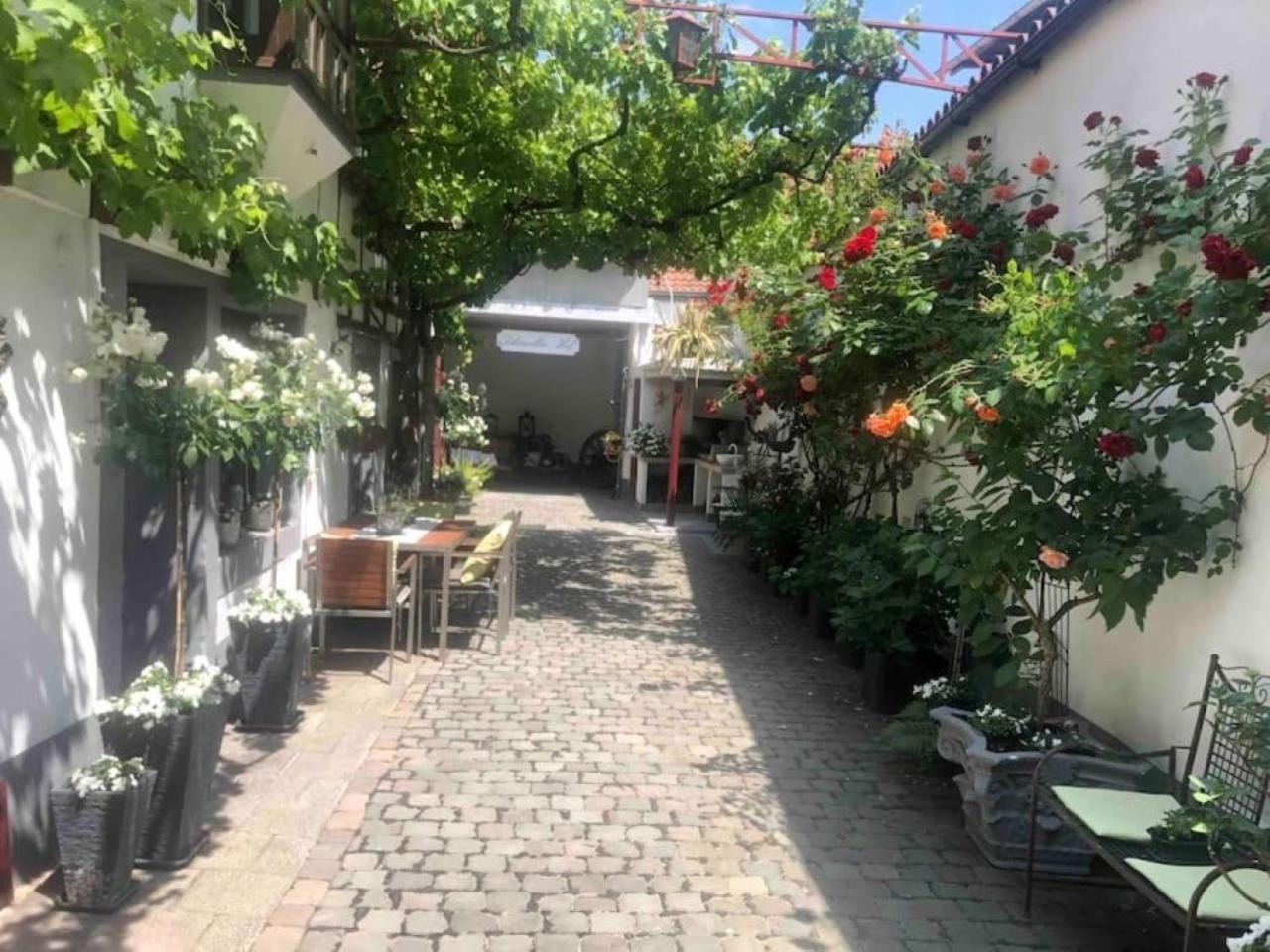 Ferienwohnung Im 'Schmoller - Hof' Neustadt an der Weinstraße Esterno foto